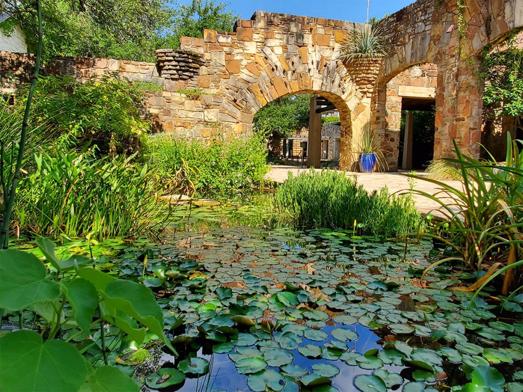 Hyde Park, TX 22 Lady Birdy Johnson Wildflower Center